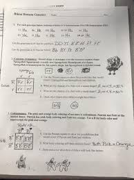 You can do the exercises online or download the worksheet as pdf. Punnett Square Practice 3 Spongebob Squarepants Monohybrid Punnett Square Practice Ppt Download This Page Details One Or More Prototype Versions Of Spongebob Squarepants