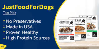 best dog food top 6 picks for your pup