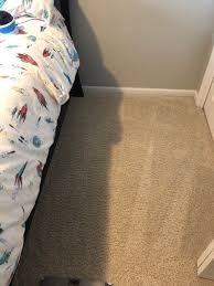 carpet cleaning company jenison mi