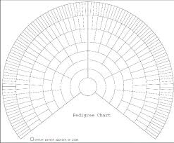 Blank Dog Diagram Catalogue Of Schemas