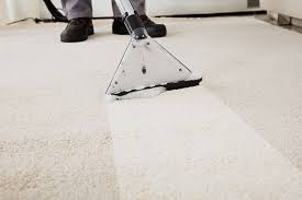 organic carpet cleaning upholstery