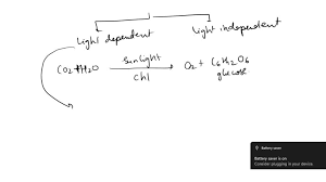 Difference Between Light Dependent