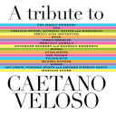 You Don't Know Me: A Tribute to Caetano Veloso