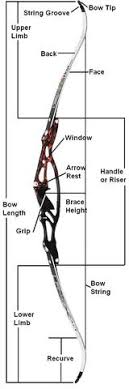 How To Determine The Correct Bowstring Length For Your