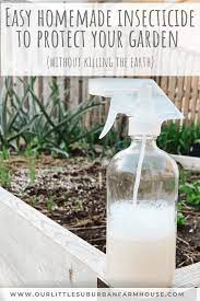 easy homemade insecticide to protect