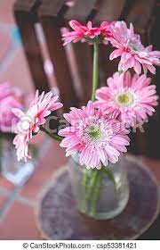 Flower decoration at home not only looks attractive, but it also helps in improving the air quality. Chrysanthemum Flowers Sticks In Clear Glass Used For Decoration Select Focus Point Canstock