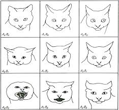 Yes Cats Really Do Have Facial Expressions Discover Magazine