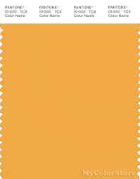 See more ideas about pantone gold, pantone, gold. Pantone Smart 15 1049 Tcx Color Swatch Card Pantone Artisan S Gold