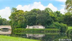 homes and the estuary at grey oaks