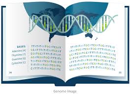 genome ancestrydna learning hub