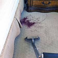 professional carpet cleaning repair