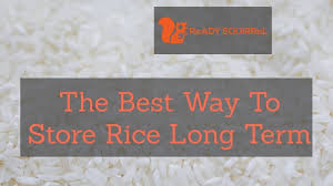 Without trying to scare anybody food is. The Best Way To Store Rice Long Term Ready Squirrel