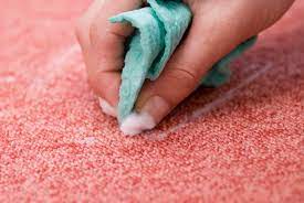 how to clean vomit from carpet
