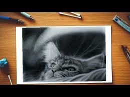 Add a w shaped mouth connecting to the bottom of the nose. Pet Cat Kucing Drawing Realistic Cat Drawing Hyper Realistic Cat Cute Cat Youtube Art Pencilart Skets Realistic Cat Drawing Cat Drawing Drawings