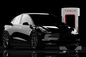 does the tesla model y have erfly