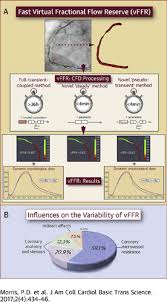 Fast Virtual Fractional Flow Reserve