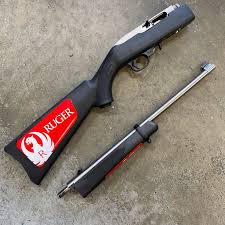 ruger 10 22 takedown stainless