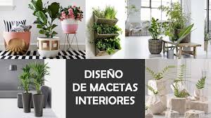 See more of decoración con plantas on facebook. Decoracion Con Plantas De Interior Consejos Para Elegir El Diseno Ideal