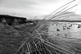 best duck blinds of 2022 wildfowl