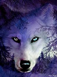 Maybe you would like to learn more about one of these? Spirit Of The Wolf Digital Art By Melissa Rowell