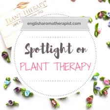 spotlight on plant therapy the