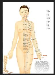 Pin On Acupuncture Chart