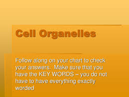 Cell Organelles Follow Along On Your Chart To Check Your