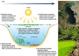 Water Pollution Causes Effects