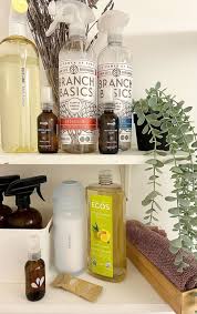 natural and nontoxic cleaning s