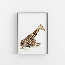 geoffrey the baby giraffe wall art