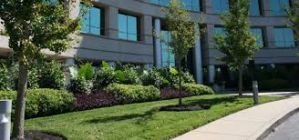 Books, youtube videos, and other b2b sales resources will help you nail the sale. Why Is Commercial Landscaping So Important For Industrial Properties Acer Landscape Services Landscape Lawn Maintenance Nashville Tn