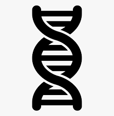 This png file is about white ,transparent ,dna ,science ,black ,strand. Dna Computer Icons Genetics Clip Art Life Science Icon Png Transparent Png Kindpng