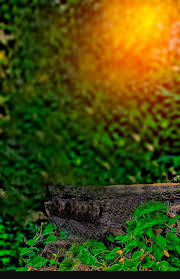 picsart blur nature background hd