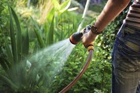 Love Your Garden How To Water