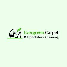 evergreen carpet cleaning 22 photos