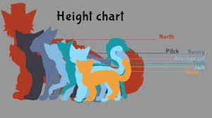 Cat Size Chart Rise Of The Guardians Amino