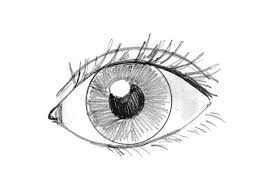 How to Draw an Eye - Art Starts