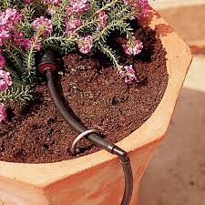 Watering System For Container Gardens