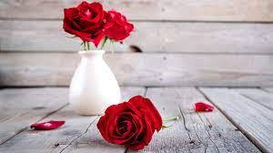meaning of red roses 1800flowers