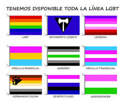 Actualmente, se usa para representar a toda la. 20 Banderas Lgbt Orgullo Gay Arcoiris Diversidad 90 X 150cm Mercado Libre