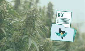 Instead, patients are put into the compassionate use registry of texas (curt). How To Get A Medical Marijuana Prescription In Texas Compassionate Cultivation