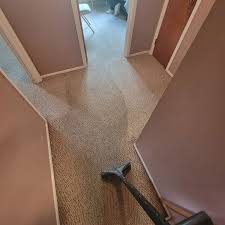 stain resistant carpet