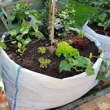 Easy Raised Garden Beds Dian Farmer