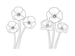 pansies vector outline ilration