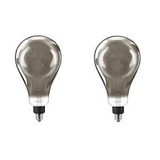 Philips 25 Watt Equivalent A50 Dimmable Modern Glass Edison Led Large Light Bulb Cool White 4000k 2 Pack 536300 The Home Depot