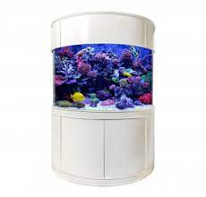luxury corner set 100 gallon fish tank