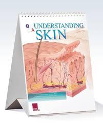 Understanding Skin Flip Chart 11x14 Medical Books