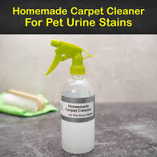 clean old pet stains from carpet