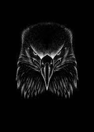 black eagle art iphone wallpaper