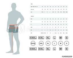 Measurements For Clothing Vector Illustration Of The